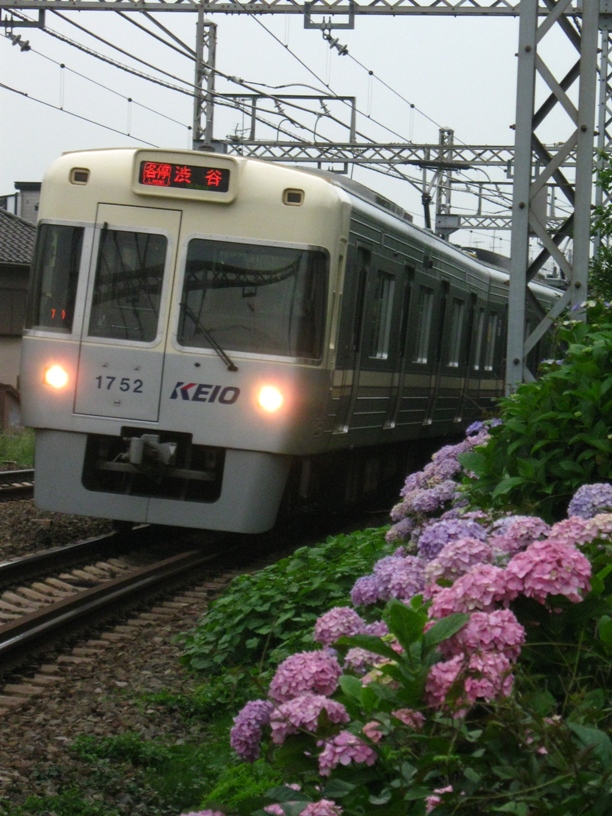 d0044222_22442452.jpg