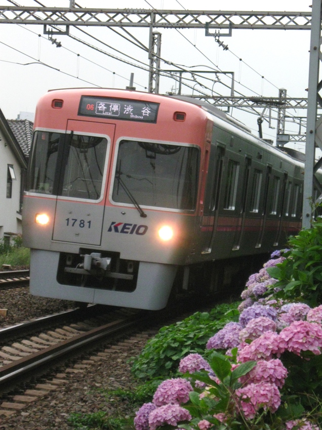 d0044222_2245843.jpg