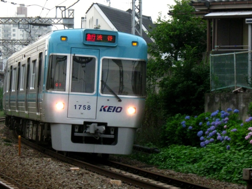 d0044222_2248816.jpg