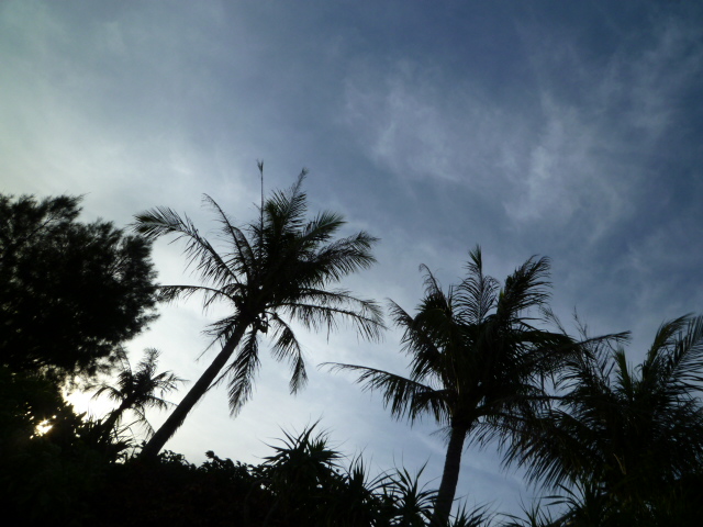 e0002927_17234671.jpg