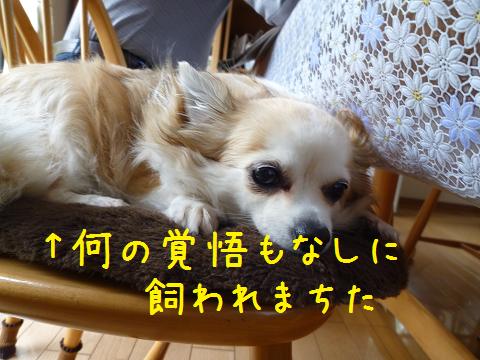 b0138430_207397.jpg