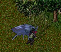 c0184233_921299.jpg