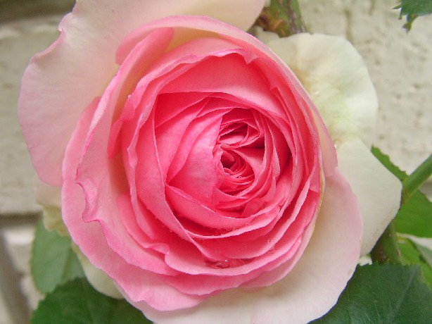 f0002833_17472335.jpg