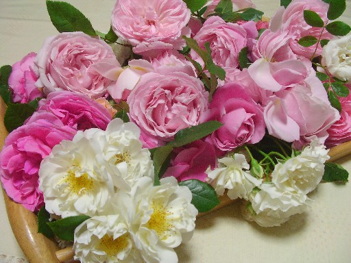 f0002833_17474370.jpg