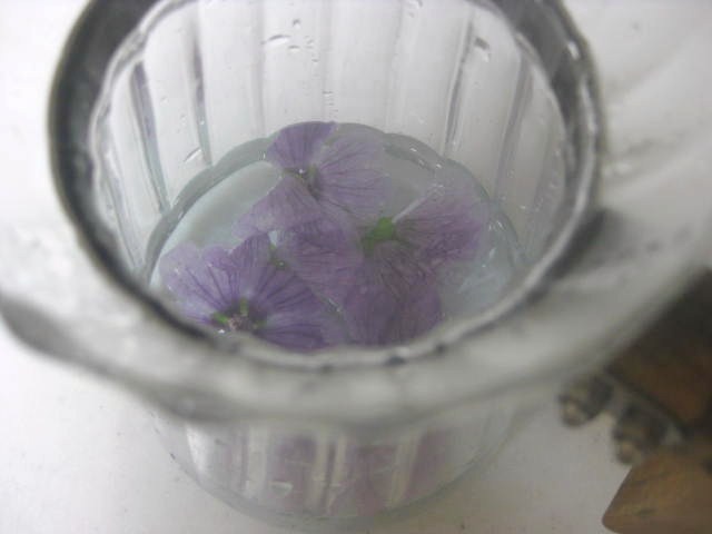 b0123044_23204831.jpg