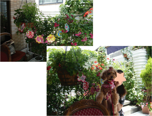 b0182846_9124100.gif
