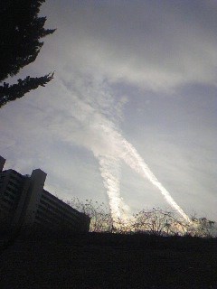f0096147_0452852.jpg