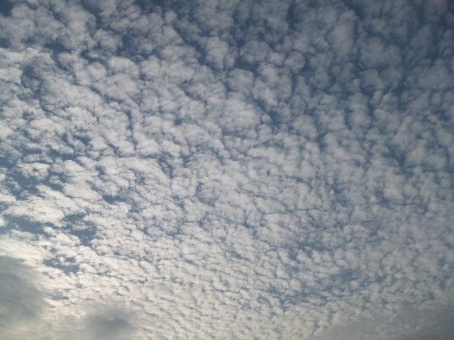 f0068649_1982149.jpg