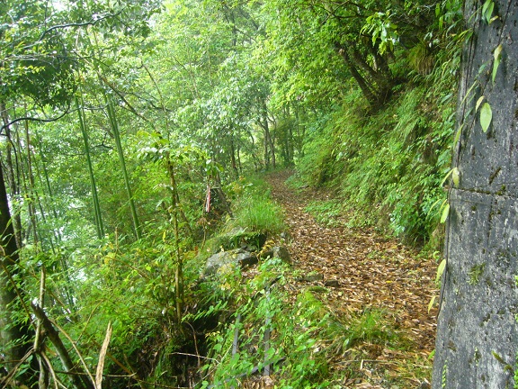 f0067354_1122289.jpg