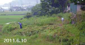 e0149157_217313.jpg