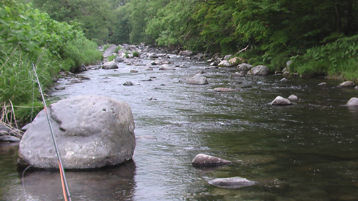 b0208961_22112645.jpg