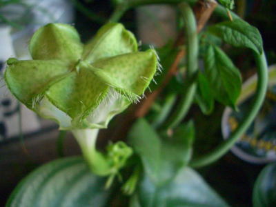 b0195462_18201215.jpg