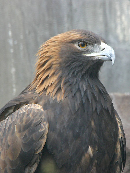 e0000968_0104424.jpg