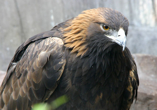 e0000968_0104457.jpg