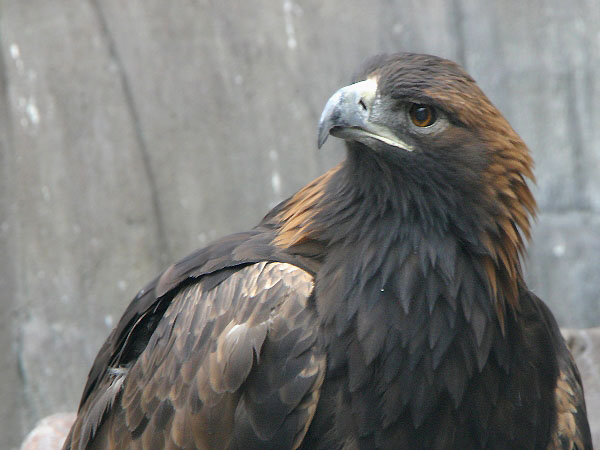 e0000968_0104722.jpg