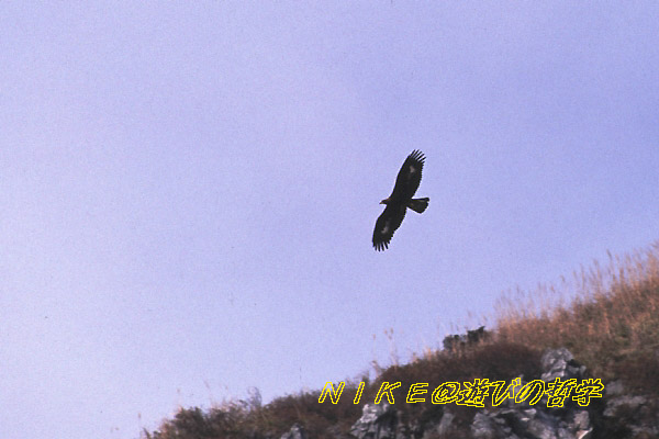 e0000968_0123498.jpg