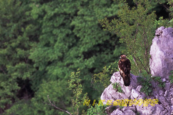 e0000968_0162319.jpg