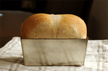 c0196673_1122278.gif
