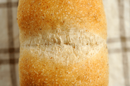 c0196673_1128912.gif