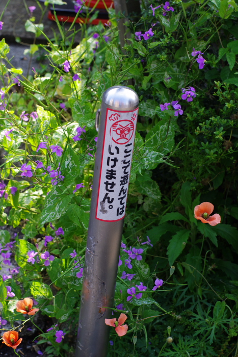 b0120979_7584145.jpg