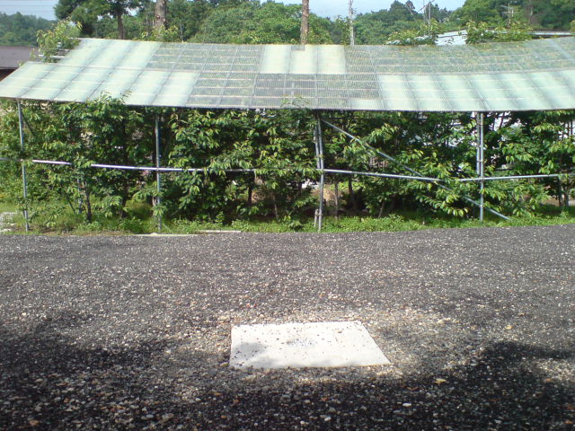 d0182179_17145659.jpg