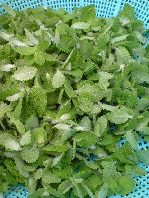 d0182179_17333071.jpg