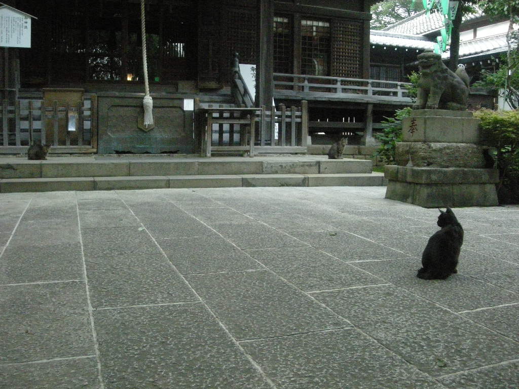 a0105981_1012287.jpg