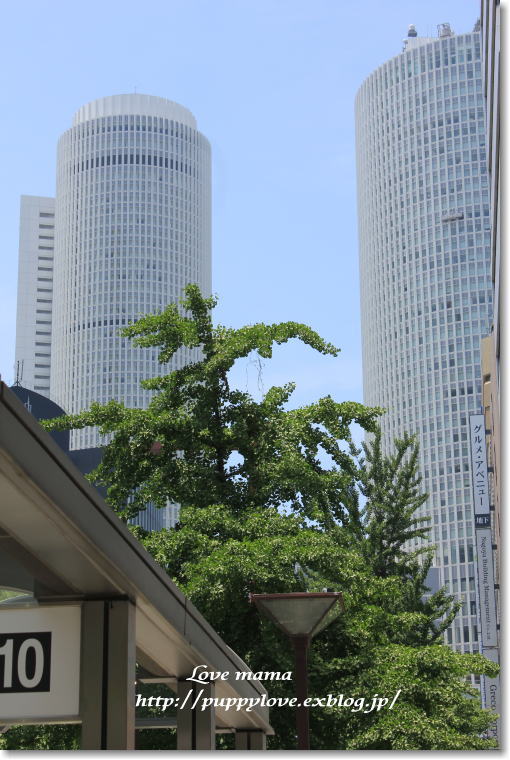 b0136683_22194041.jpg