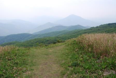 a0133886_2037484.jpg