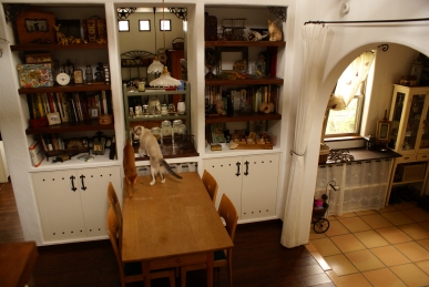 d0166389_10591.jpg