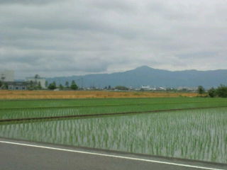 a0064291_23551586.jpg
