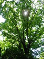 c0193396_14585873.jpg