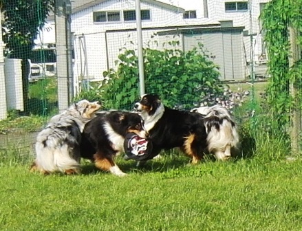 f0077697_1974590.jpg