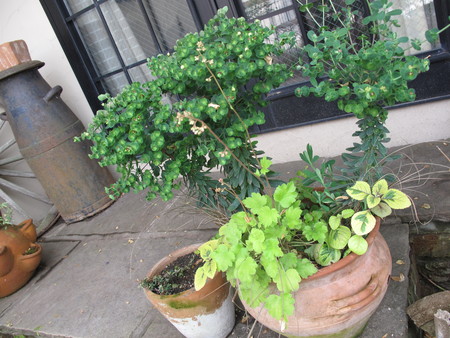 f0178897_22180100.jpg