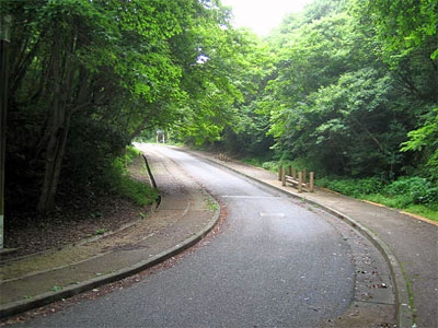 b0108100_15114314.jpg
