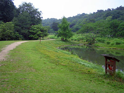 b0108100_15155741.jpg