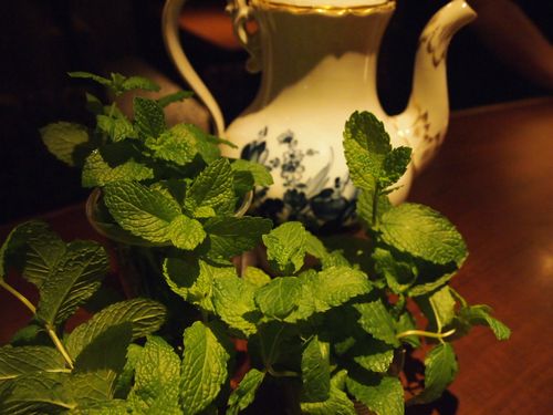 a0050302_453337.jpg