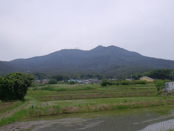 f0147602_12501283.jpg