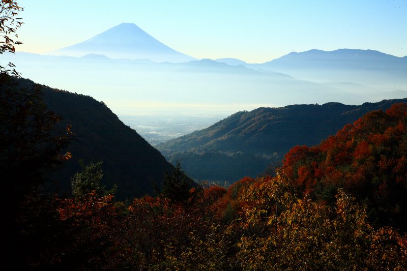 a0188405_0282181.jpg