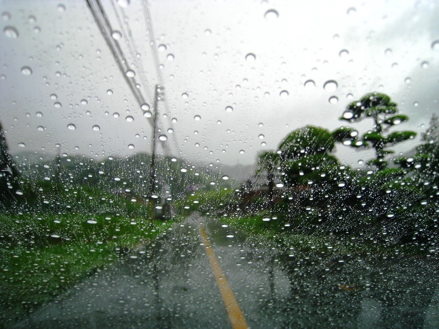 a0097006_20214587.jpg
