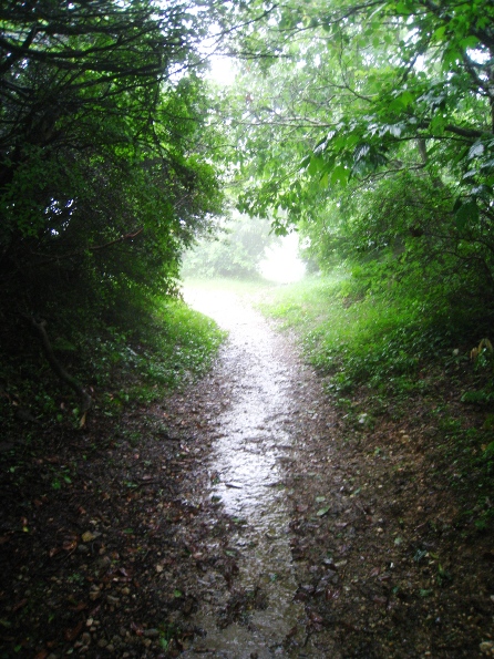 a0097006_2026435.jpg