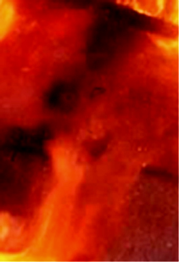 e0103408_1515158.jpg