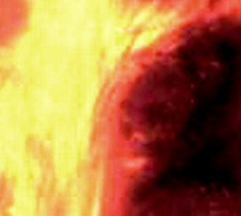 e0103408_1515911.jpg