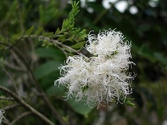 c0190010_2023159.jpg