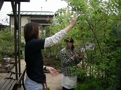 c0190010_20383023.jpg