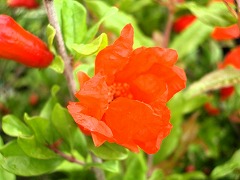 c0190010_20435337.jpg