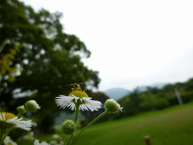 d0037110_21515095.jpg