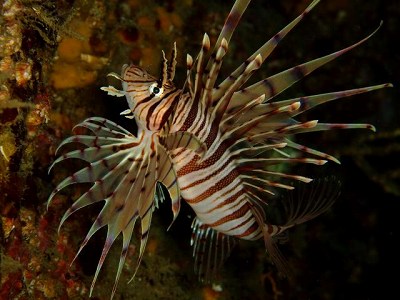 d0175710_23344714.jpg
