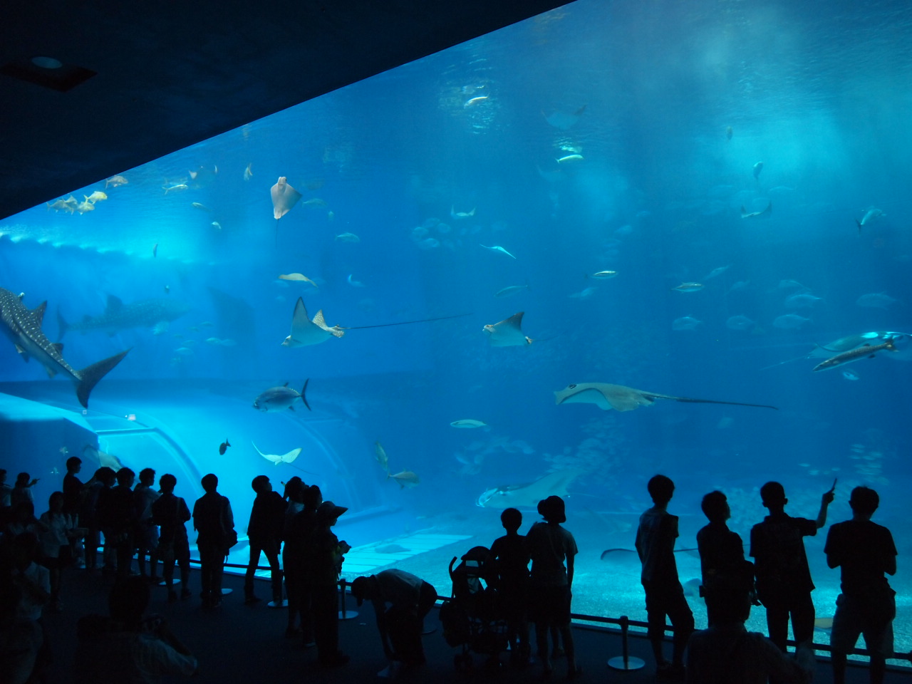 d0169613_1775493.jpg