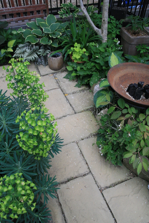 e0102713_2041151.jpg